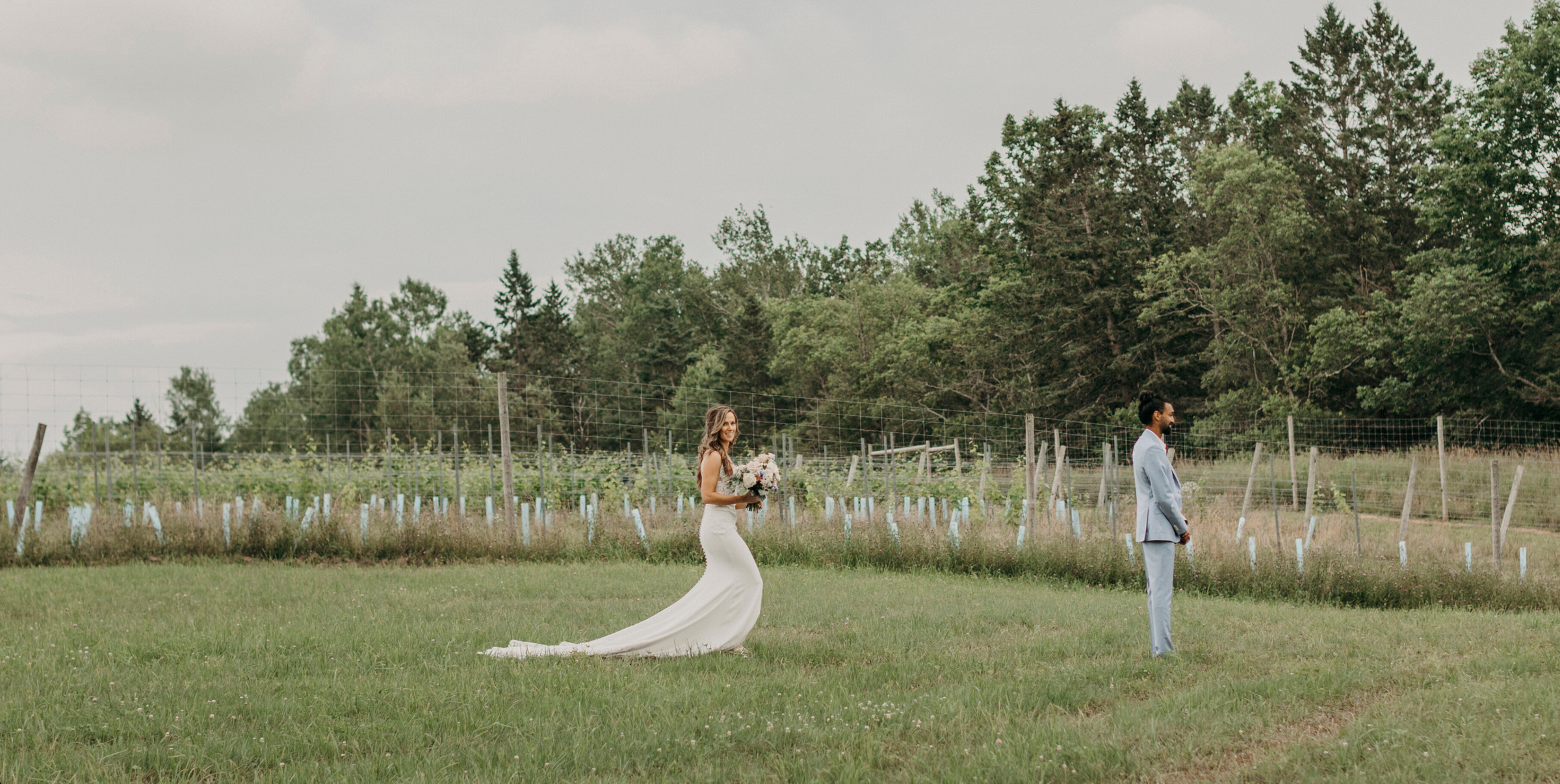 Bride walking through the vineyard at Avondale Sky Winery