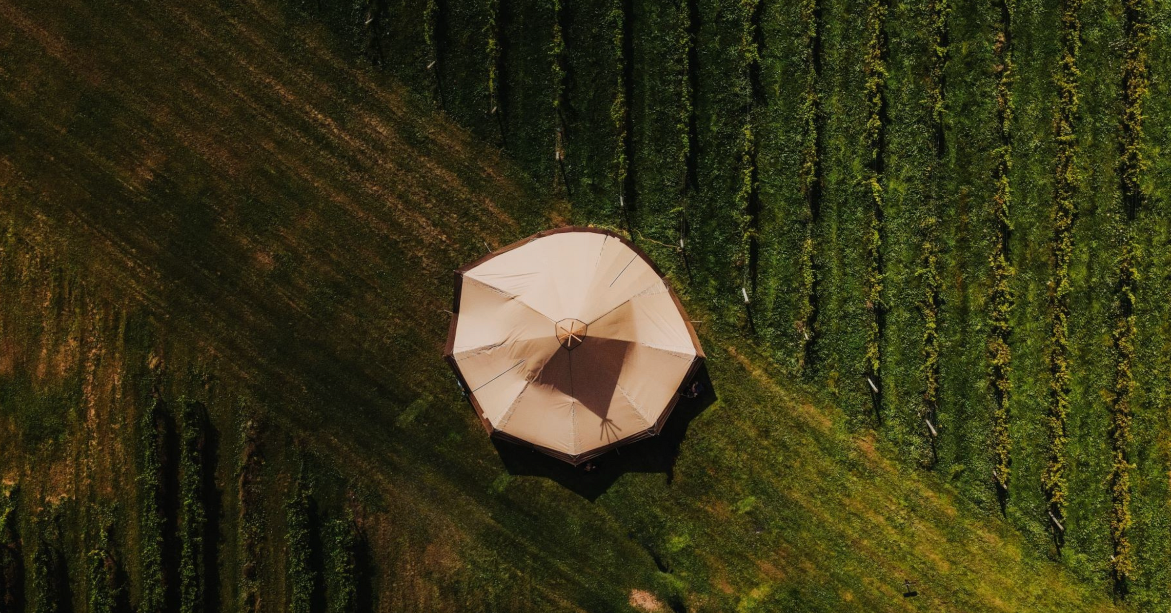 Weddings at Avondale Sky